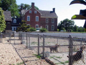 Custom Kennels 3