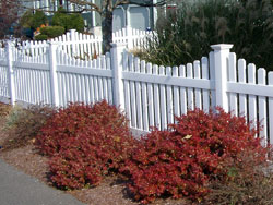 Courtyard Vinyl Picket Fence